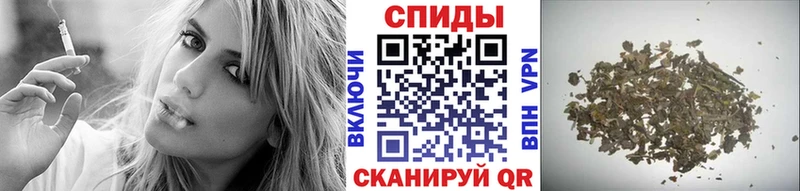 Купить где  Дедовск  Бутират BDO 