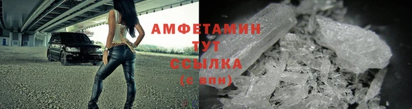 твердый Бородино