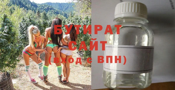 твердый Бородино