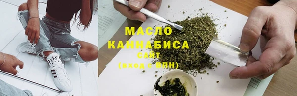 твердый Бородино
