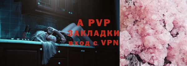 твердый Бородино