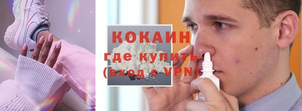 твердый Бородино
