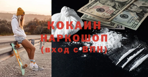 твердый Бородино