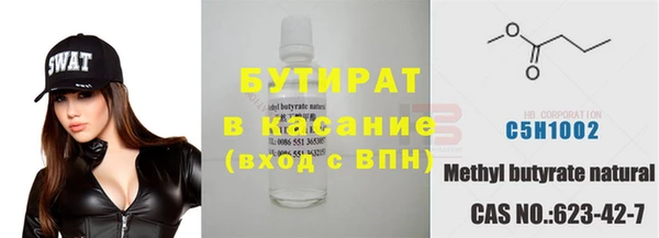 твердый Бородино