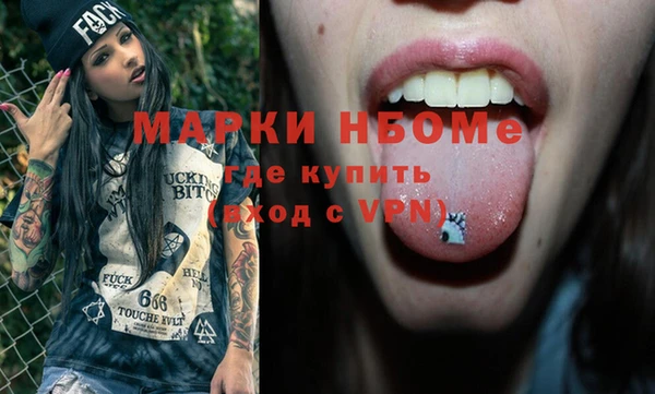 твердый Бородино