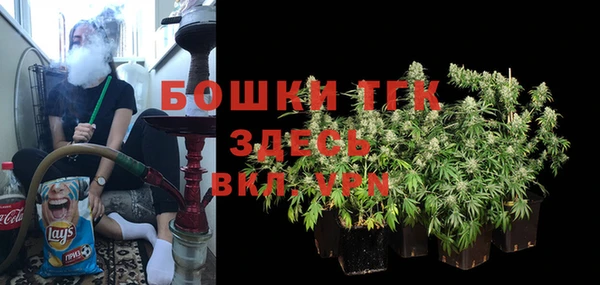 твердый Бородино